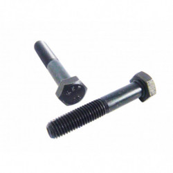 VITE T.E. 8G UNI 5737...