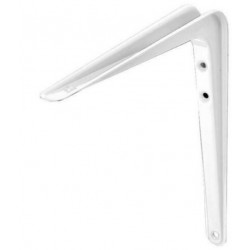 Reggimensola nervata Fischer